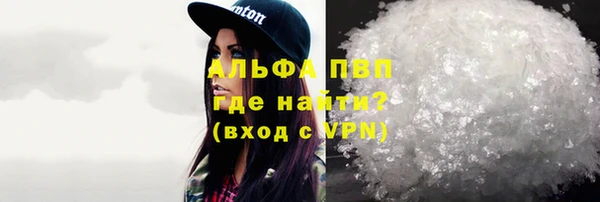 сатива Белокуриха