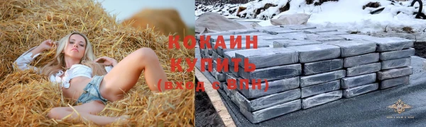 сатива Белокуриха