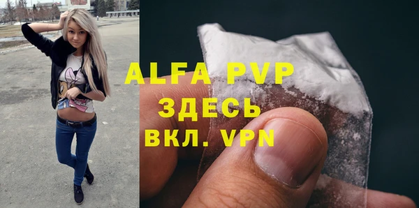 сатива Белокуриха