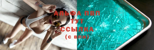 сатива Белокуриха